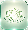 Consciousness and Energy Therapies